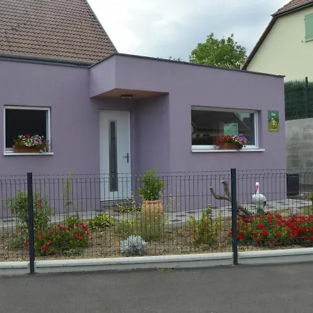 Familial Confort A - Terrasse, Jardin, Parking, Proche Pistes Cyclables Et Randos - Fr-1-744-5 * Altkirch